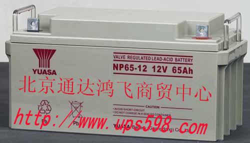 汤浅蓄电池NP65-12